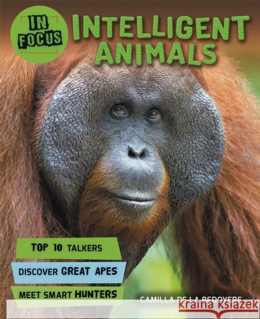 In Focus: Intelligent Animals  Ganeri, Anita 9780753442333 In Focus - książka