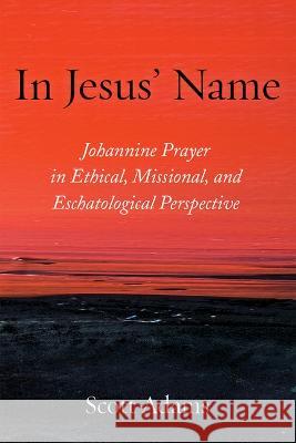 In Jesus' Name Adams, Scott 9781666732412 Pickwick Publications - książka