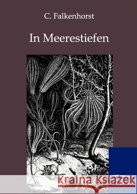 In Meerestiefen Falkenhorst, C. 9783864444739 Salzwasser-Verlag - książka