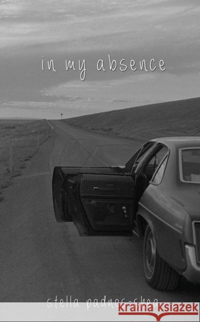 In My Absence Stella Padnos-Shea 9781941058510 Winter Goose Publishing - książka