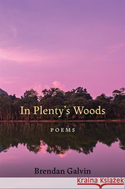 In Plenty's Woods: Poems Brendan Galvin 9780807184769 LSU Press - książka