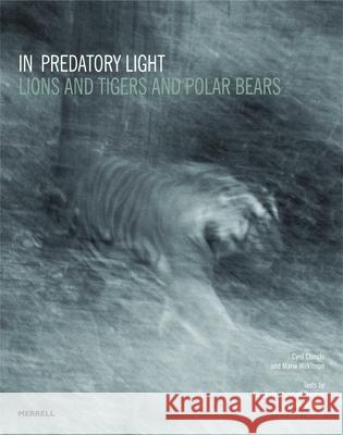 In Predatory Light: Lions and Tigers and Polar Bears Cyril Christo, Marie Wilkinson 9781858946108 Merrell Publishers Ltd - książka
