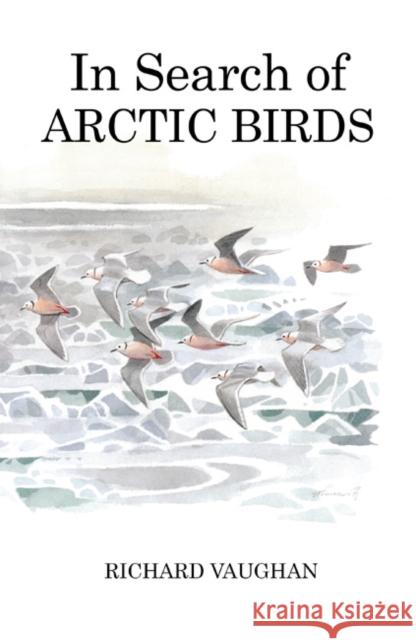 In Search of Arctic Birds Richard Vaughan 9781408136904 Bloomsbury Publishing PLC - książka