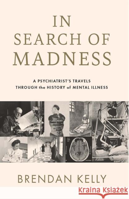 In Search of Madness: A psychiatrist’s travels through the history of mental illness Brendan Kelly 9780717193783 Gill - książka