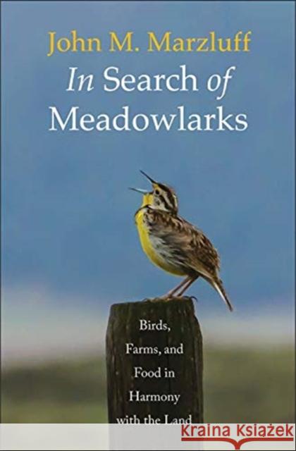 In Search of Meadowlarks: Birds, Farms, and Food in Harmony with the Land John M. Marzluff 9780300237146 Yale University Press - książka