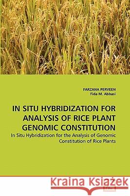 In Situ Hybridization for Analysis of Rice Plant Genomic Constitution Farzana Perveen Fida M 9783639341232 VDM Verlag - książka