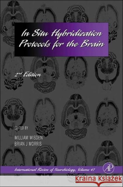 In Situ Hybridization Protocols for the Brain: Volume 47 Wisden, W. 9780123668479 Academic Press - książka