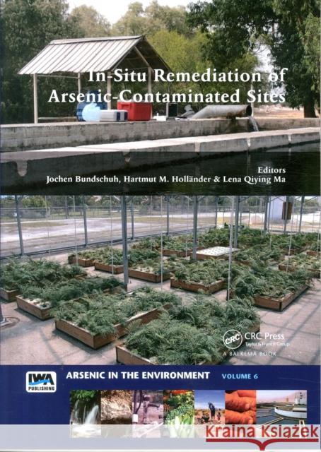 In-Situ Remediation of Arsenic-Contaminated Sites Jochen Bundschuh Hartmut M. Hollander Lena Qiying Ma 9781138747753 CRC Press - książka