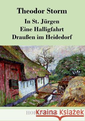 In St. Jürgen / Eine Halligfahrt / Draußen im Heidedorf Theodor Storm   9783843042338 Hofenberg - książka