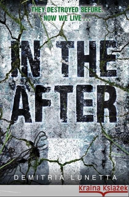 In the After Demitria Lunetta 9780062105462 Harper Teen - książka