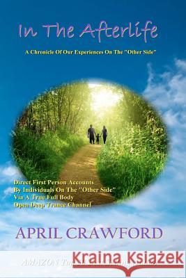 In The Afterlife: A Chronicle Of Our Experiences On The 