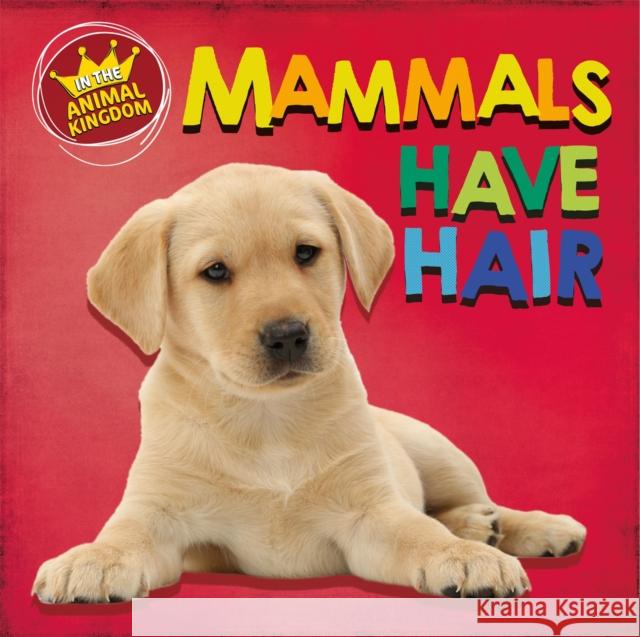 In the Animal Kingdom: Mammals Have Hair RIDLEY  SARAH 9781526309013 HODDER WAYLAND CHILDRENS - książka