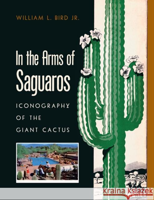 In the Arms of Saguaros William L. Bird 9780816552832 University of Arizona Press - książka