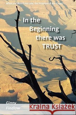 In the Beginning there was Trust Ginny Findlow 9781445281667 Lulu Press - książka