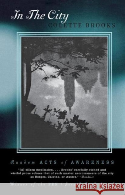 In the City: Random Acts of Awareness Brooks, Colette 9780393324419 W. W. Norton & Company - książka