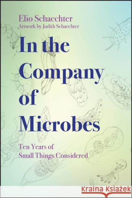 In the Company of Microbes: Ten Years of Small Things Considered Schaechter, Judith 9781555819590 ASM Press - książka