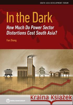 In the Dark: How Much Do Power Sector Distortions Cost South Asia? Fan Zhang 9781464811548 World Bank Publications - książka