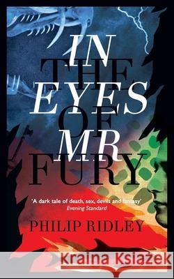In the Eyes of Mr Fury Philip Ridley 9781943910373 Valancourt Books - książka