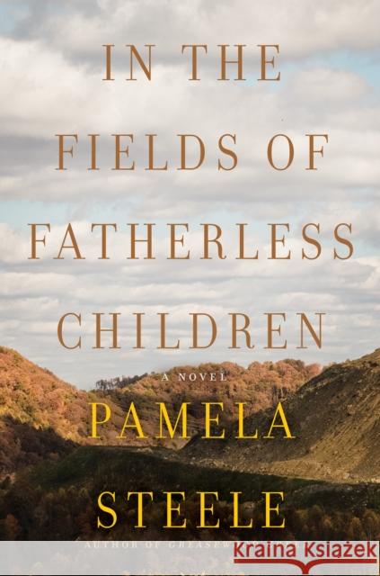 In The Fields of Fatherless Children: A Novel Pamela Steele 9781640097605 Counterpoint LLC - książka