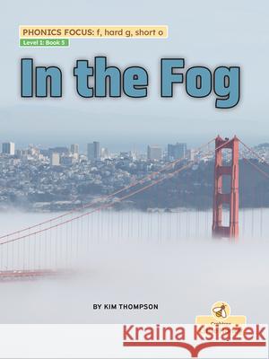 In the Fog Kim Thompson 9781039845114 Crabtree Little Honey - książka