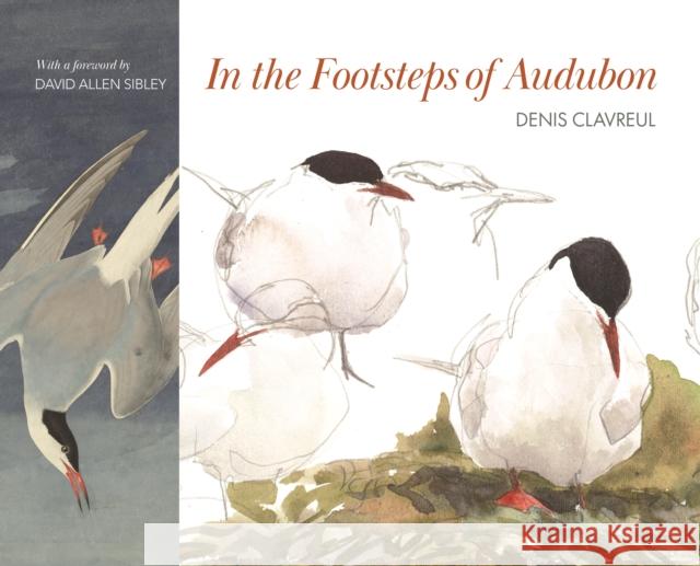 In the Footsteps of Audubon Denis Clavreul 9780691237688 Princeton University Press - książka