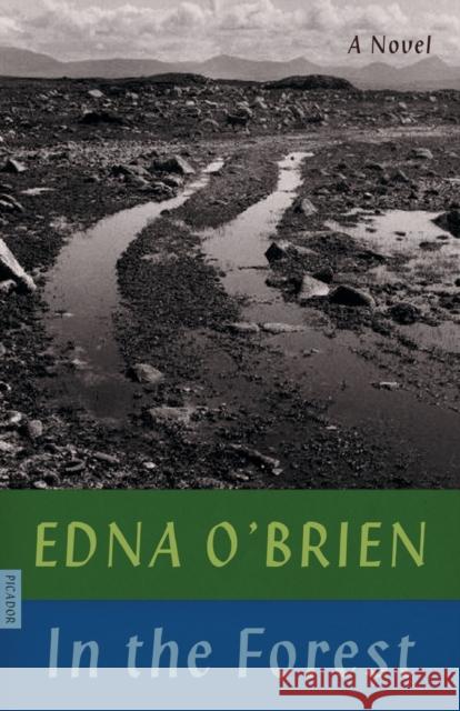 In the Forest Edna O'Brien 9780374538774 Picador - książka