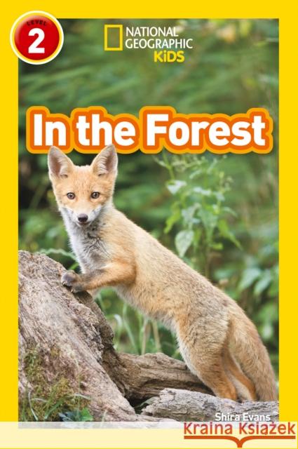 In the Forest: Level 2 National Geographic Kids 9780008317201 HarperCollins Publishers - książka