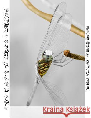 In the Garden of Dragonflies: Color the Art of Nature + Wildlife Tiffany Skora Tiffany Photography 9781537613703 Createspace Independent Publishing Platform - książka