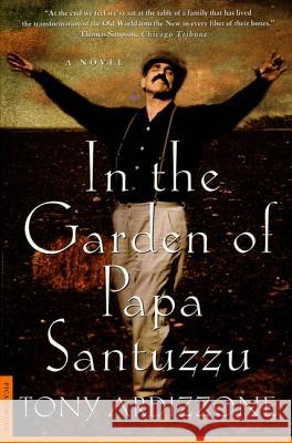 In the Garden of Papa Santuzzu Tony Ardizzone 9780312263416 Picador USA - książka
