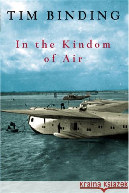 In the Kingdom of Air Tim Binding 9780330487498  - książka