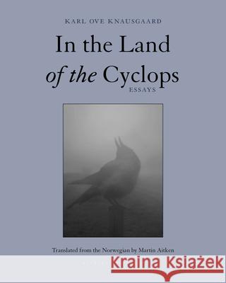 In the Land of the Cyclops Karl Ove Knausgaard Martin Aitken 9781939810748 Archipelago Books - książka