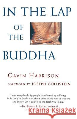 In the Lap of the Buddha Gavin Harrison Joseph Goldstein 9780877739951 Shambhala Publications - książka