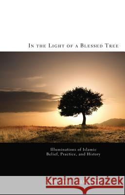 In the Light of a Blessed Tree Timothy J Gianotti   9781610974332 Wipf & Stock Publishers - książka