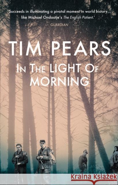 In the Light of Morning Tim Pears 9780099559368 Windmill Books - książka