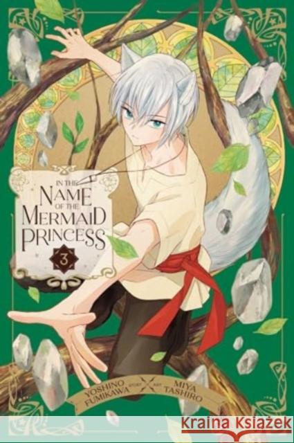 In the Name of the Mermaid Princess, Vol. 3 Fumikawa, Yoshino 9781974746286 VIZ Media LLC - książka