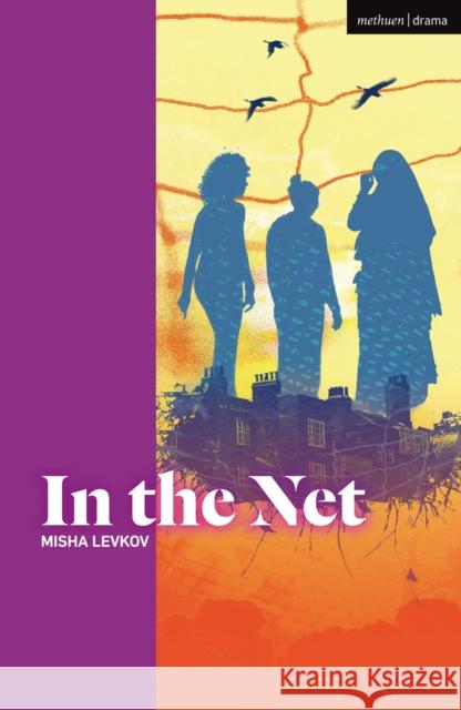 In the Net Misha Levkov 9781350386594 Bloomsbury Publishing PLC - książka