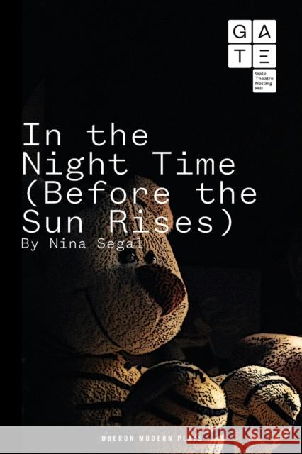 In the Night Time (Before the Sun Rises) Nina Segal 9781783193134 Oberon Books - książka