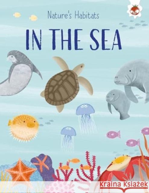 In the Oceans and Seas Annabel Griffin 9781835693513 Hungry Tomato Ltd - książka