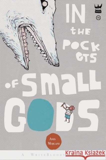 In the Pockets of Small Gods Anis Mojgani 9781938912849 Write Bloody Publishing - książka