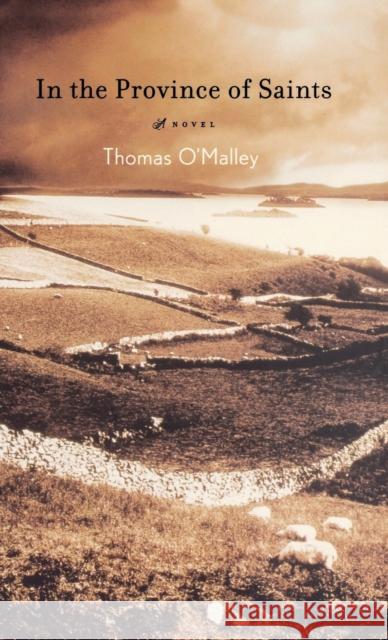 In the Province of Saints Thomas O'Malley 9780316110396 Little Brown and Company - książka