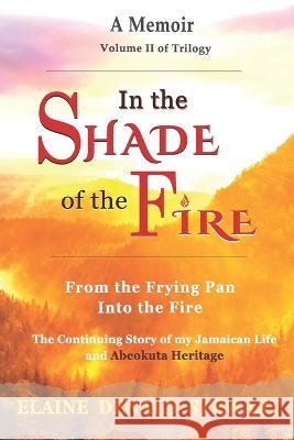 In the Shade of the Fire: From the Frying Pan into the Fire Elaine Denald Stewart 9781737824435 Bowker Identifier Services - książka