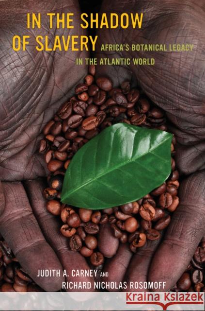 In the Shadow of Slavery: Africa’s Botanical Legacy in the Atlantic World Judith Carney 9780520269965 University of California Press - książka