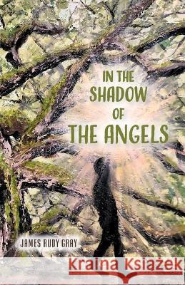 In the Shadow of the Angels James Rudy Gray Katy Neely 9781940645971 Baptist Courier - książka