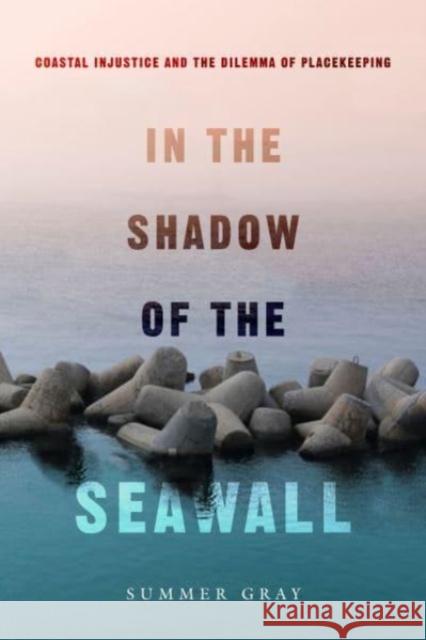 In the Shadow of the Seawall: Coastal Injustice and the Dilemma of Placekeeping Summer Gray 9780520392731 University of California Press - książka