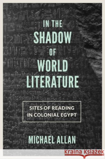 In the Shadow of World Literature: Sites of Reading in Colonial Egypt Allan, Michael 9780691167831 John Wiley & Sons - książka