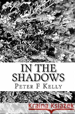 In the shadows: darkness to light Kelly, Peter F. 9781450579797 Createspace - książka