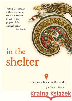 In the Shelter: Finding a Home in the World P Tuama 9781506470528 Broadleaf Books - książka