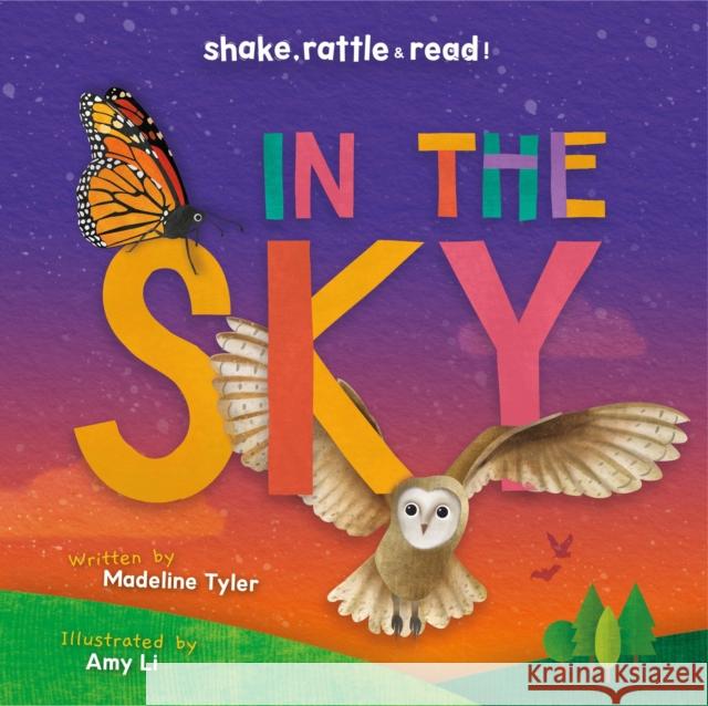 In the Sky Madeline Tyler 9781786377470 BookLife Publishing - książka