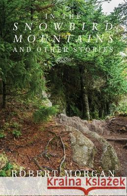 In the Snowbird Mountains and Other Stories Robert Morgan 9781950413638 Press 53 - książka