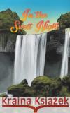 In the Sweet Night Khaled Hazem Nusseibeh 9789948825470 Austin Macauley Publishers